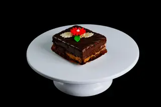 Tortulet mini Amandina