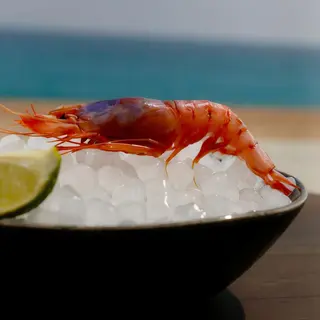 Gambes de Palamós