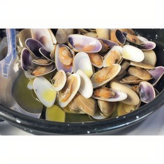 Tellinas mediterráneas.