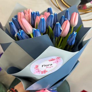 ჰოლანდიური ტიტები 