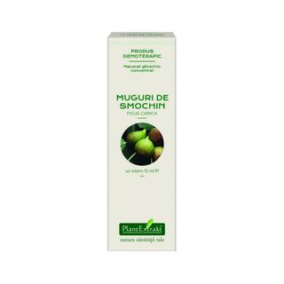 Extract concentrat din muguri de smochin (FICUS CARICA)
