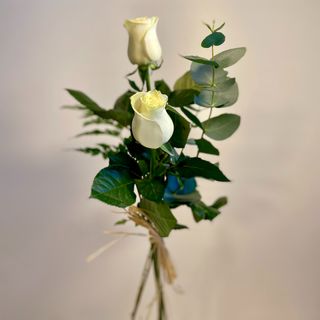 Dos Rosas Blancas