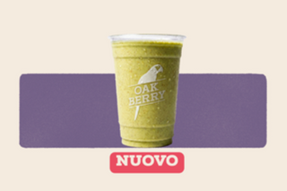 PISTACHIO 36g protein (Works 500ml)