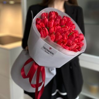 51 червоний тюльпан в упакуванні