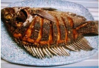 Fried fish large, white rice served with coleslaw