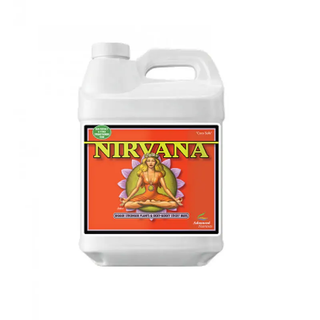 Nirvana - 10 ლ