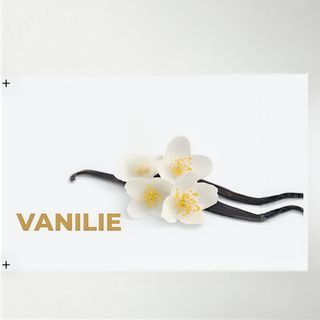 Vanilie