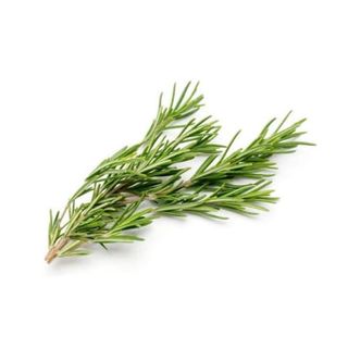 Rosmarino al mazzo