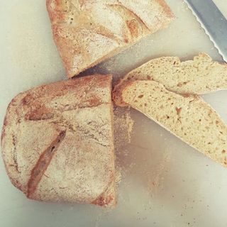 Pane 