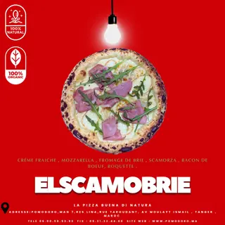  FR ElSCAMOBRIE   SMALL   
