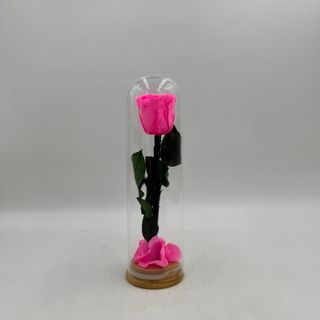 Cupula  Love In Roses Fucsia