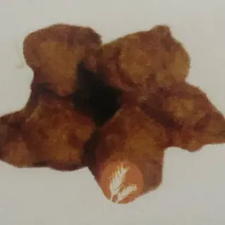 78. Bocadito de pollo 