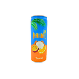 Hawaï  - Tropical  ( 33cl ) Canette