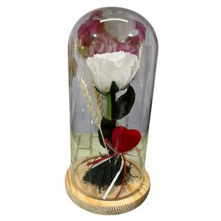 Cupula con rosa blanca preservada