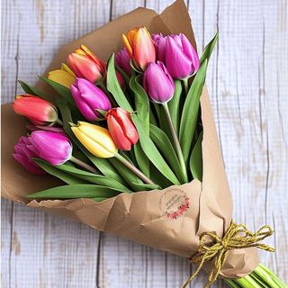 ფერადი ტიტები (15)