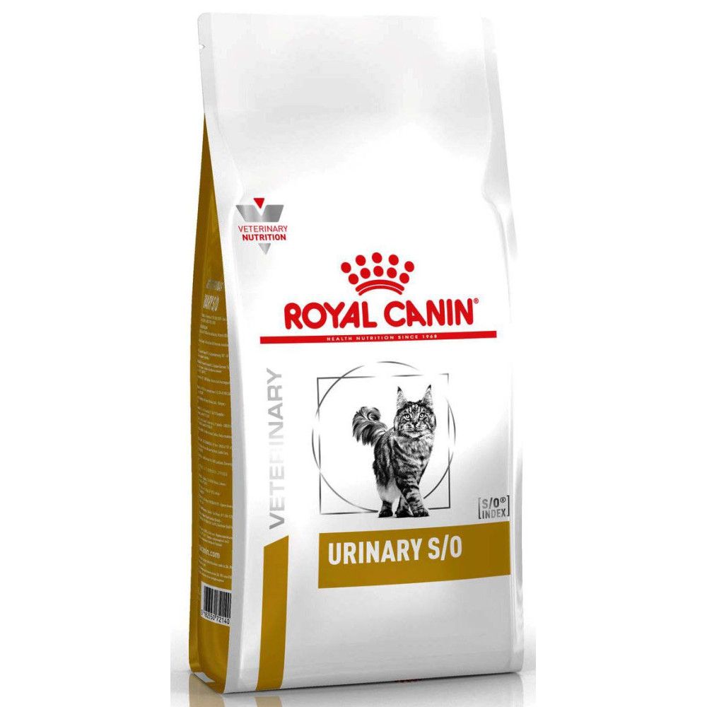 Veterinarske dijete mačke