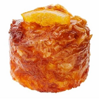 Portocalopita rotunda