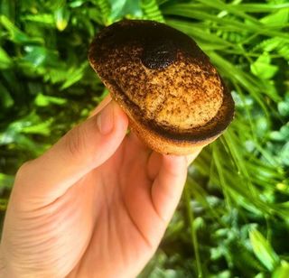 Pasticciotto con crema e Nutella