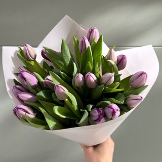 20 tulipanes morados