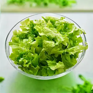 Zelena salata