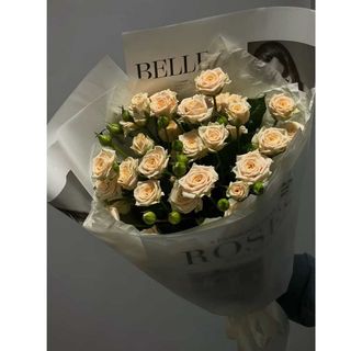  კრემისფერი სპრეი(9)