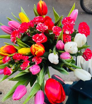 Tulipani misto con rose ramipicante.