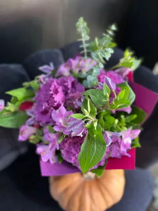 Purple Dream