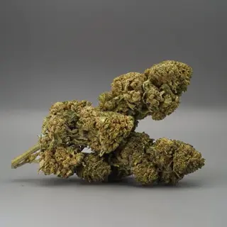 Flor Banana Nano9 CBD - 1g