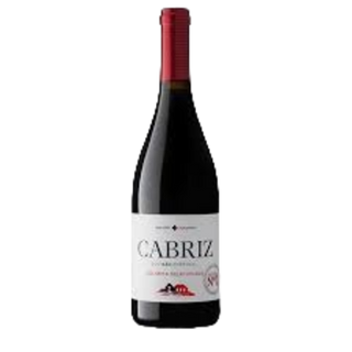 Vinho Tinto Cabriz