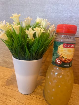 Granini Piña (330 ml.)