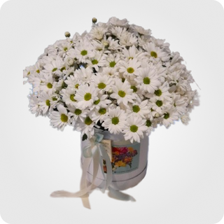 ქრიზანთემები ყუთში