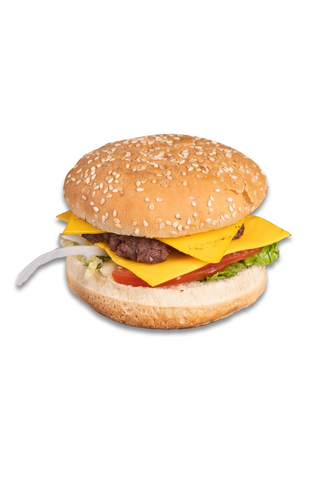 Double Cheese Burger