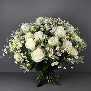 თეთრი ვარდი, გვირილა