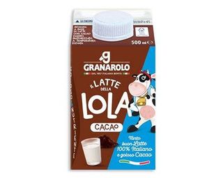 Latte al cioccolato Granarolo 50 cl