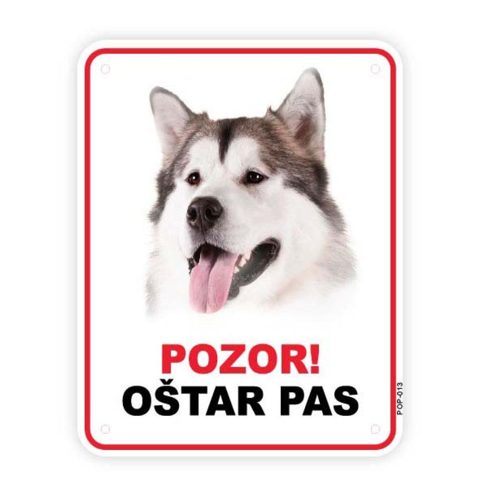 Ukrašavanje kućanstva mačke