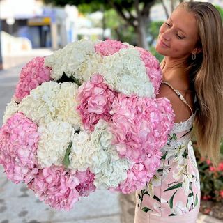 Ramo Hortensia Princess