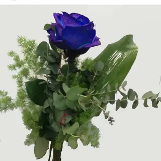 1 rosa blu