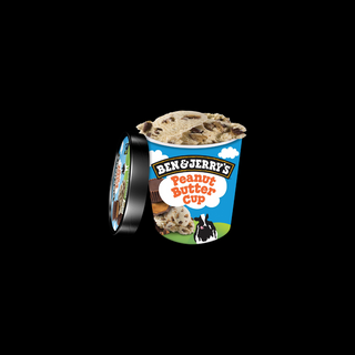  Ben jerry peanut butter