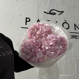 3 Колумбійських гортензій