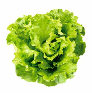 Insalata gentile 350g