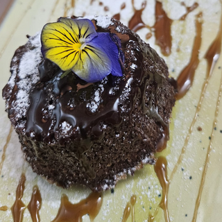 Izvor de ciocolata cu inghetata