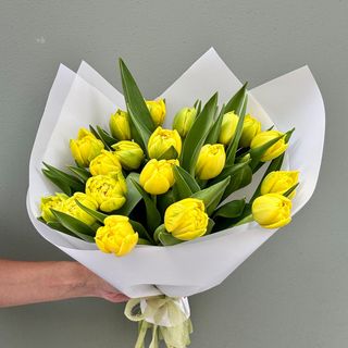 20 Tulipanes Amarillos