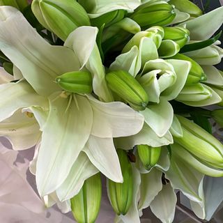 Bouquet de lys blanc 