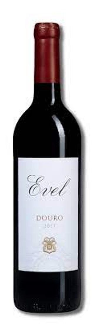 Evel Tinto