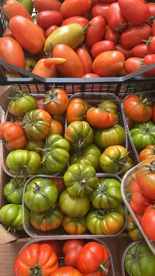 Pomodoro 1 kg