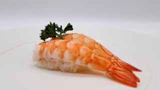 Nigiri ebi