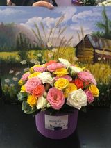 ჯუჯა ვარდები  იასამნიფერ ყუთში