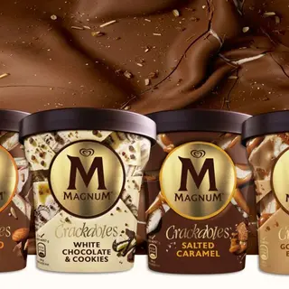 4 pints Magnum