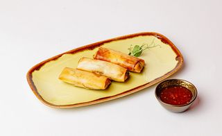 Tople Prolećne Rolnice sa Govedinom