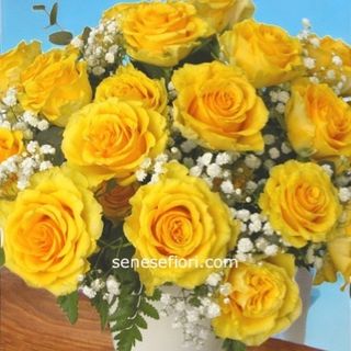 Bouquet 5 Rose gialle